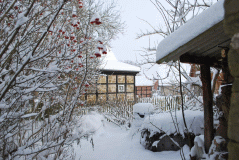 Beerenbeet-Winter10