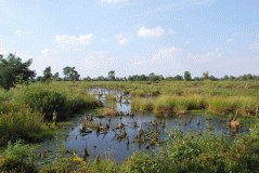 Venner-Moor-hinten_1888_02818