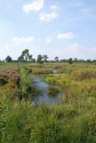 Venner-Moor-hinten_1890_02820