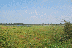 Venner-Moor-vorne-norden_1837_02767