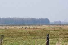Blegans_2887_03666