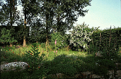 Blick ber Tank Jasmin Bl-he 95