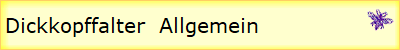 Dickkopffalter  Allgemein