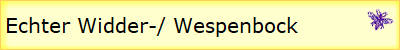 Echter Widder-/ Wespenbock