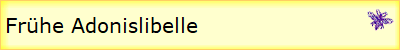Frhe Adonislibelle