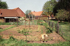 Gemsegarten 2 Blick N-O neu Angelegt 88-5-8