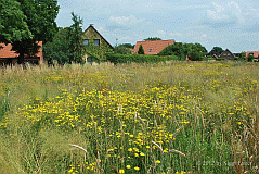 Haus Brachland