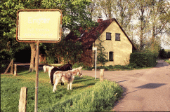 Haus vorne Schnucky + Pferde