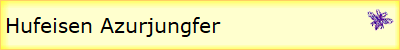 Hufeisen Azurjungfer