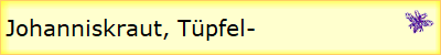 Johanniskraut, Tpfel-