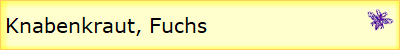 Knabenkraut, Fuchs