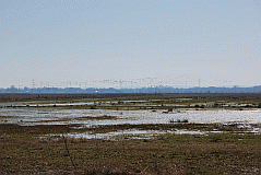 Ochsenmoor_6145_06857