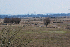 Ochsenmoor_6470_07172