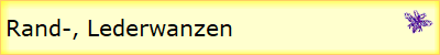 Rand-, Lederwanzen