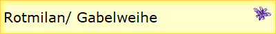 Rotmilan/ Gabelweihe