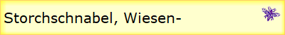 Storchschnabel, Wiesen-
