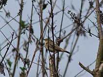 Zipzalp_3349_04104
