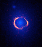 einsteinring_sdp81_alma_vs_hubble_big