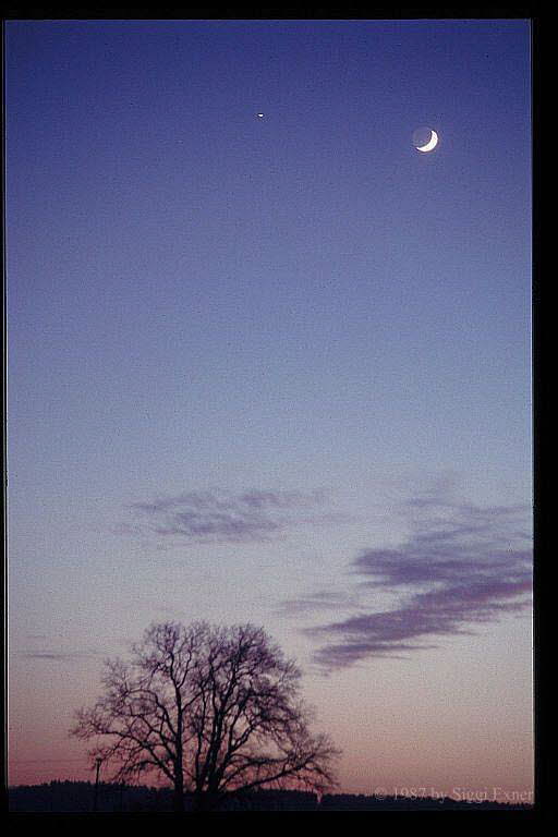 Mond und Jupiter