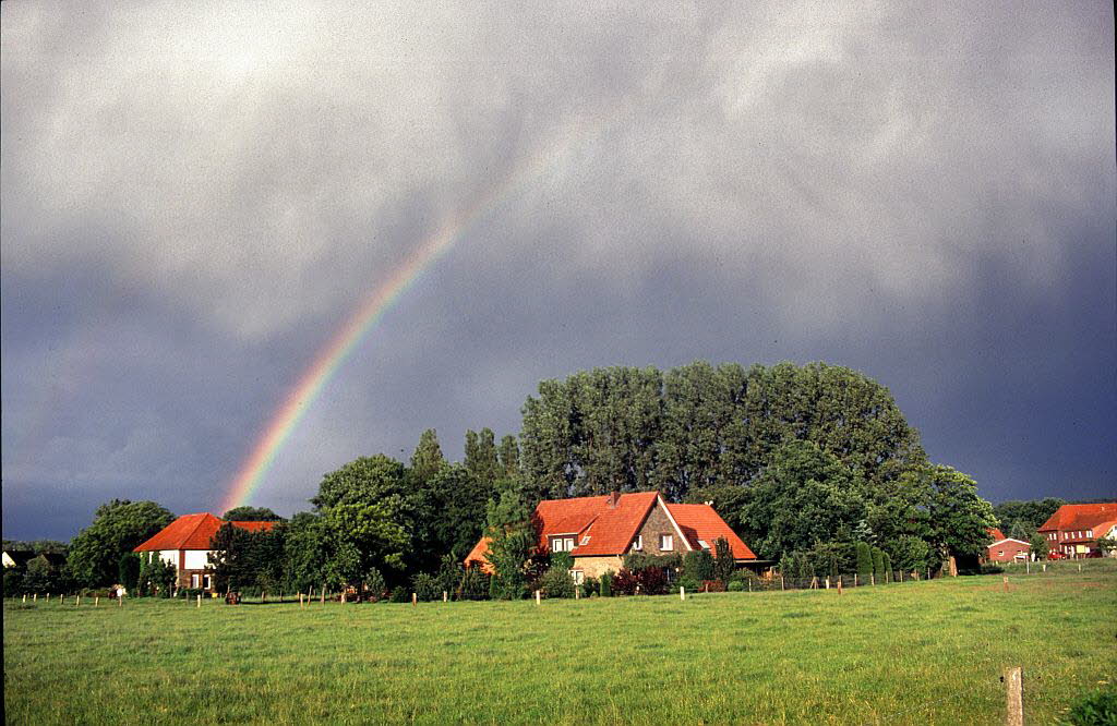 Regenbogen