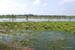 Venner-Moor-Nordwestlicher Bereich