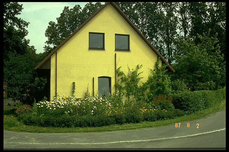 Vorgarten Sommer 1987